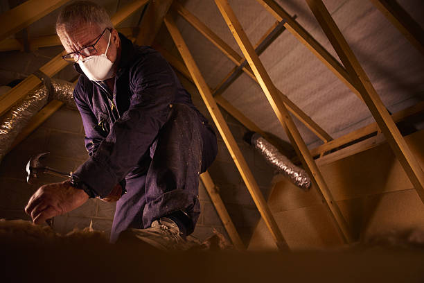 Best Insulation Installation Services in Dalton, PA